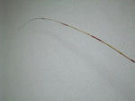 2009_09270006_640.JPG