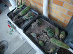 2009_10110027_640.JPG