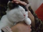 2009_10170014_640.JPG