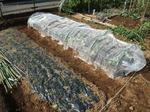 2009_10180005_640.JPG
