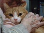 2009_11150004_640.JPG