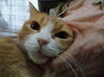 2009_11150016_640.JPG