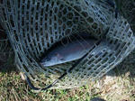 2009_11150028_640.JPG