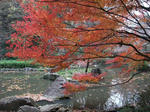 2009_11280016_640.JPG