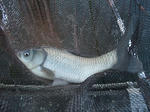 2009_12120008_640.JPG