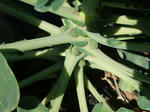 2009_12210003_640.JPG