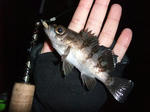 2009_12280005_640.JPG