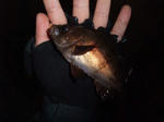 DSCF52491.JPG