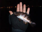 DSCF52511.JPG