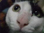 DSCF52601.JPG