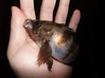 2010_01020038_640.JPG