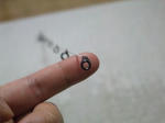 2010_01080003_640.JPG