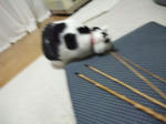 2010_01230047_640.JPG