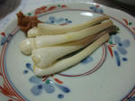 2010_01310002_640.JPG
