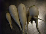 2010_01170006_640.JPG