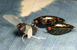 2010_02130002_640.JPG