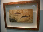2010_02130010_640.JPG