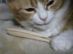 2010_02270003_640.JPG