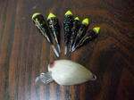 2010_02270008_640.JPG