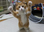 2010_03050012_640.JPG