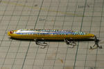 2010_03190006_640.JPG