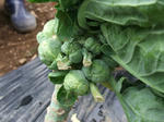 2010_04040009_640.JPG