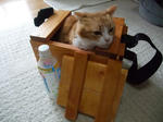 2010_04170028_640.JPG