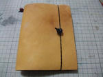 2010_04240019_640.JPG