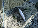 2010_04250001_640.JPG