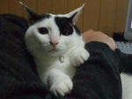 2010_04240001_640.JPG