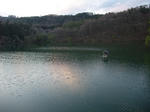 2010_05040011_640.JPG