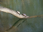 2010_05040049_640.JPG