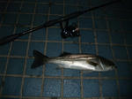 2010_05040087_640.JPG