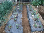 2010_05080004_640.JPG