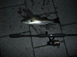 2010_05150031_640.JPG