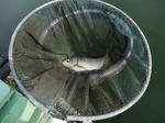 2010_05220005_640.JPG