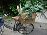 2010_05290013_640.JPG
