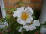 2010_06190049_640.JPG