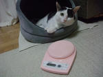 2010_06270020_640.JPG