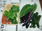 2010_07100007_640.JPG