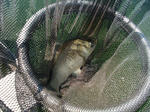 2010_07180001_640.JPG