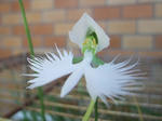 2010_07190001_640.JPG