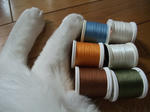 2010_07250009_640.JPG