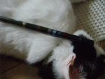 2010_07250002_640.JPG