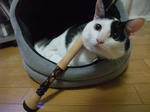 2010_08010030_640.JPG