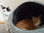 2010_08150006_640.JPG