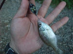 2010_08150004_640.JPG
