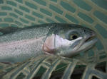 2010_08150020_640.JPG