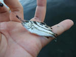 2010_08280005_640.JPG