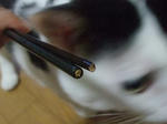 2010_09180003_640.JPG